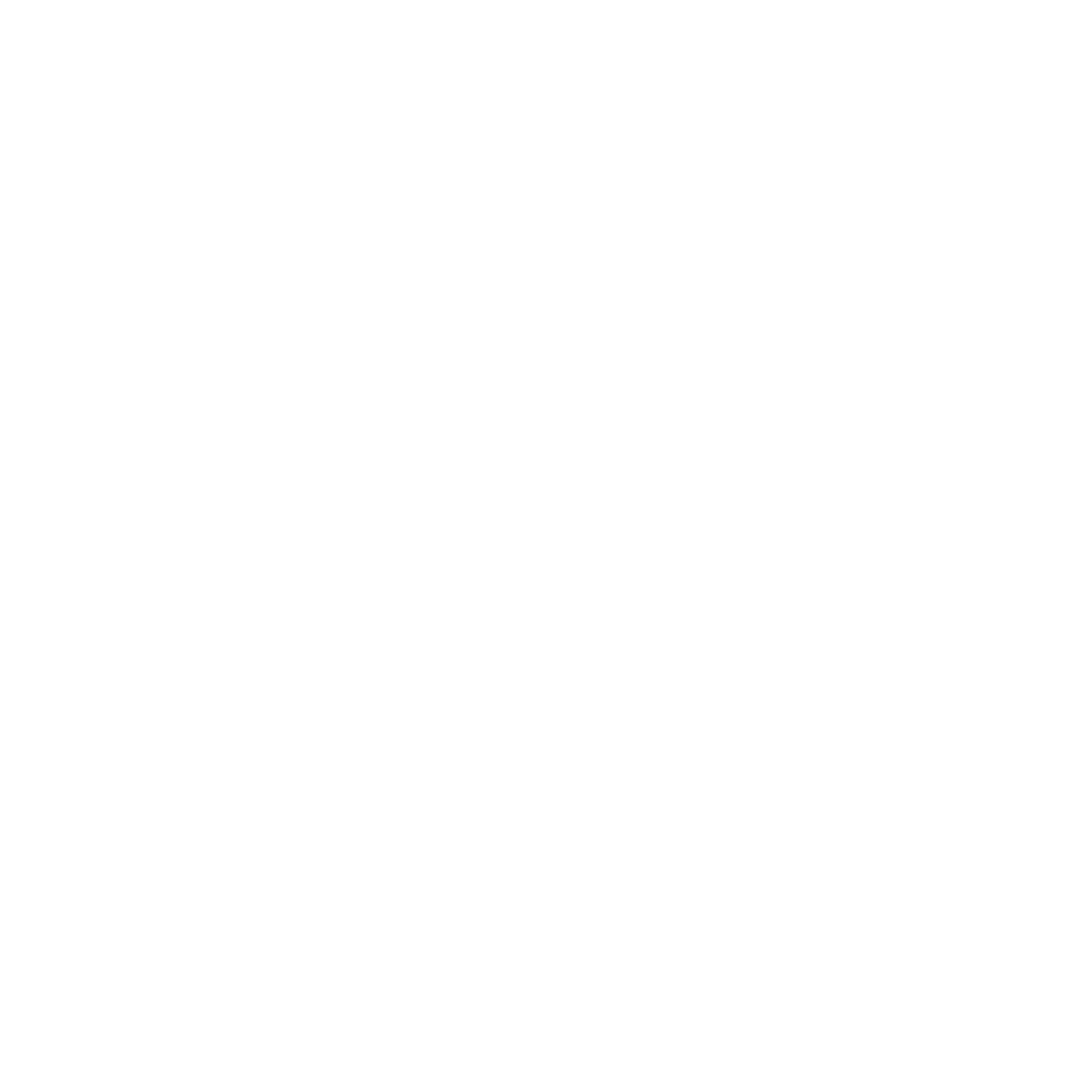 Logo velox